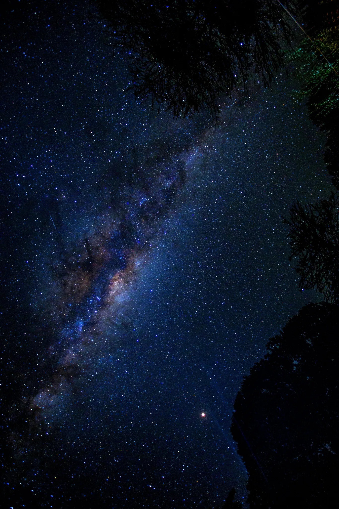 image-1769072314206-12